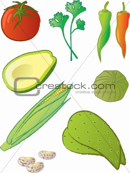 Mexican Food Ingredients