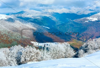 First winter snow and mountain beech forest