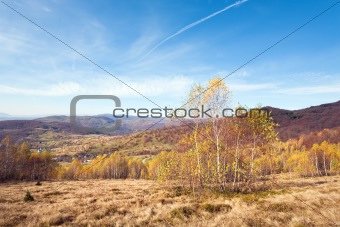 Autumn country landscape (Carpathian, Ukraine).