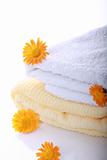 Calendula with terry towels