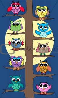 owls in a tree