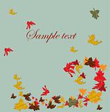 Autumn falling leaves background 