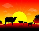farm animals, sheep Herd on nature background, sun, tree, animal
