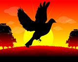 Symbol  Dove in Flight silhouette, sun, nature, tranquility back