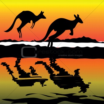 Kangaroo on the sunset Australia icon