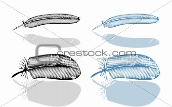Feather set, vector illustration, fake bird feathers