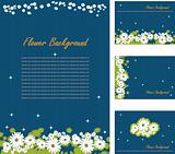 Vector Flower presentation background, business cards set.