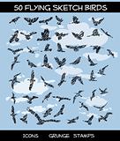Grunge Sketchy Birds on sky background