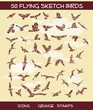 50 Grunge Sketchy Birds on sky background