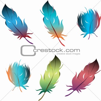 isolated feathers set object on white background