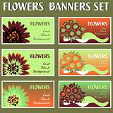 Colorful flower web banner set cards background