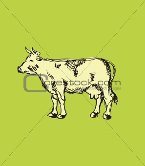 Vector cow 