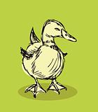 duck vector Isolated on background Tattoo retro style 
