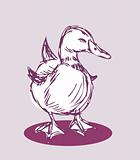 duck vector Isolated on background Tattoo retro style 
