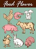 Food flavor icons vector set: farm animals - various retro-style