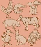 Food flavor icons vector set: farm animals - various retro-style