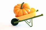 Isolated Orange Pumpkin in Wheelbarrow