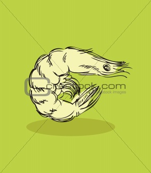 Shrimp vector illustration