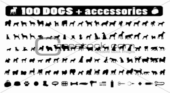 100 dogs icons and Dog accessories,vector pet emblem, dogs staff
