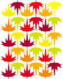 Seamless vector autumn maple leaves background, pattern