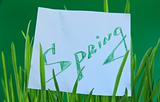 Green grass with a sticker "Spring"
