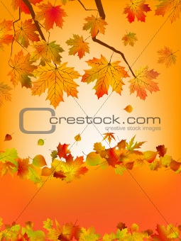 Autumn card of colored leafs. EPS 8