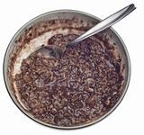 Bowl of Chocolate Flavored Oatmeal