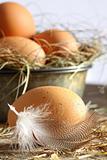 Closeup of brown eggs with straw 