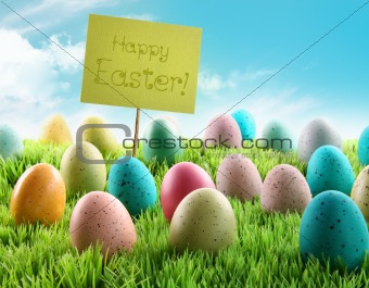 Colorful Easter eggs with sign in a field