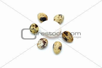quail eggs with white egg
