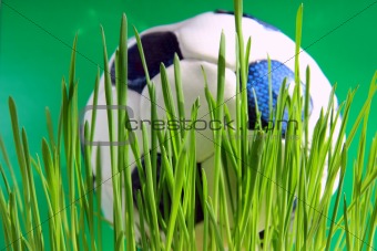 football on  green grass