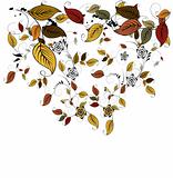 Autumn floral leaves background 