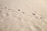 one person footprints on sand