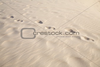 one person footprints on sand