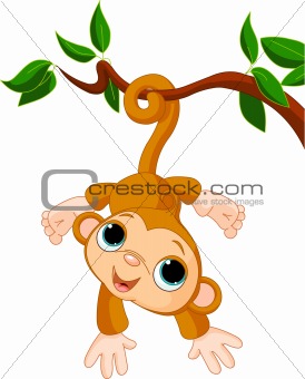Baby monkey on a tree 