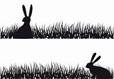 rabbit in grass, vector