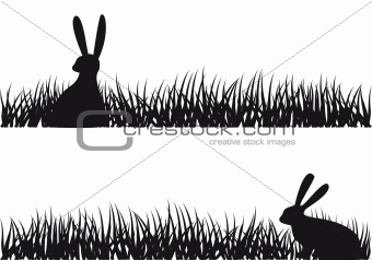 rabbit in grass, vector