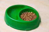 Green Pet Bowl With Biscuits