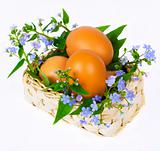 Eggs and forget-me-nots