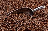 Metal scoop partially burried in coffee beans