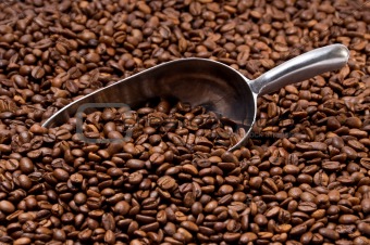 Metal scoop partially burried in coffee beans