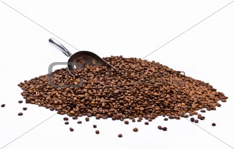 Metal scoop partially burried in coffee beans heap