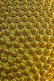 Golden spiral vertical pattern