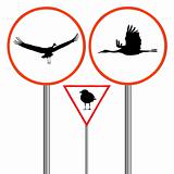 birds traffic sign