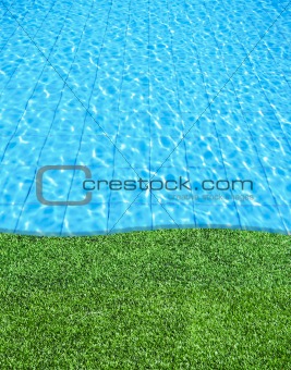 fresh grass beside the blue swimming pool