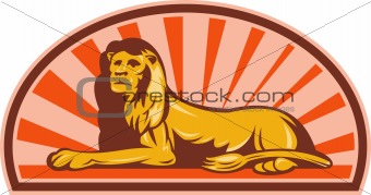 Lion sitting with sunburst in background