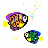 Colored Fish