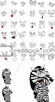 zebra cartoon set