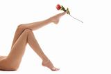 Long legs and the rose