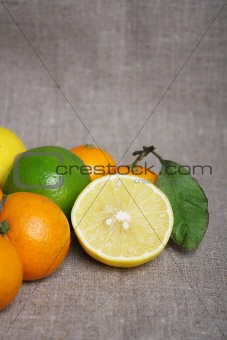 Citrus on canvas